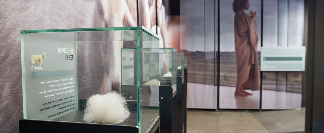 Odoo CMS - a big picture