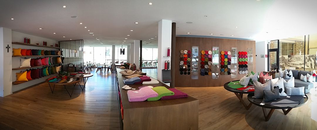 Odoo CMS - a big picture